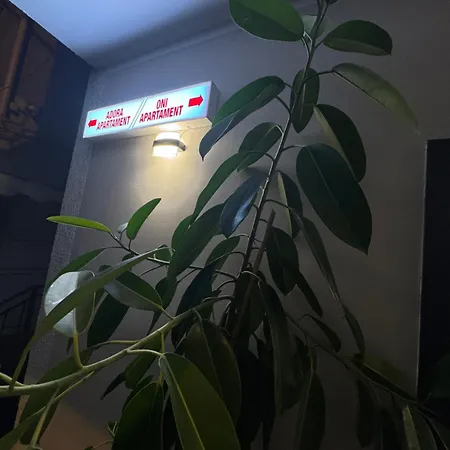 Apartment Oni Tirana