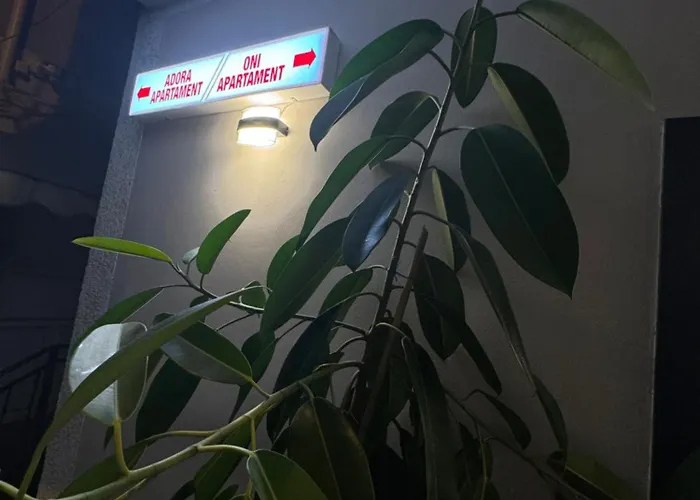 Apartament Oni Tirana